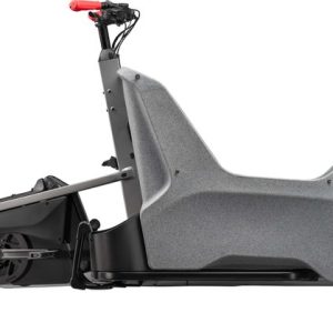 Cannondale Wonderwagen Neo 2 - 545 Wh - 20 pulgadas - Long John
