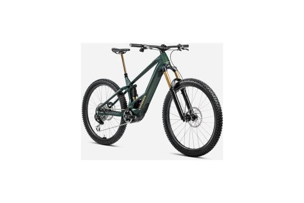 4683598_19436968 Orbea Wild M10 - 750 Wh - 29 Zoll - Fully