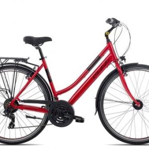 Ciclista Ponte Vecchio Trapecio
