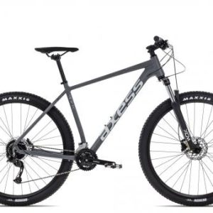 Axess TORRENT
