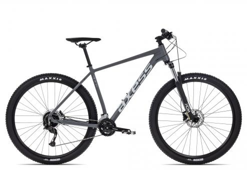 Axess TORRENT
